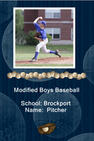 Baseball Gallery